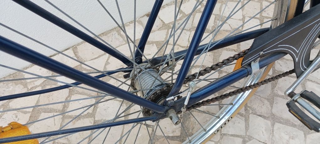 Bicicleta holandesa