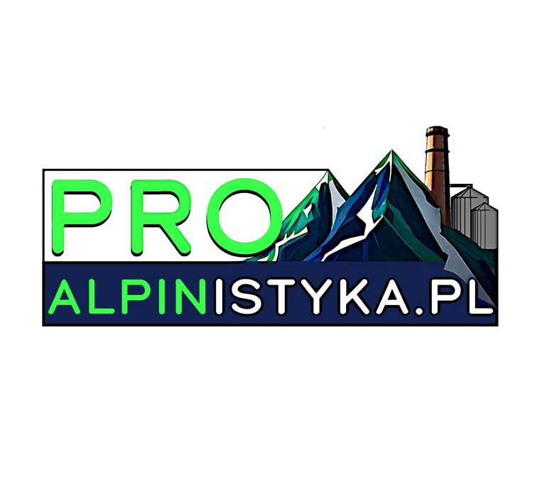 Pro eko Alpiniści na wysokości serwis budynków i konstrukcji stalowych