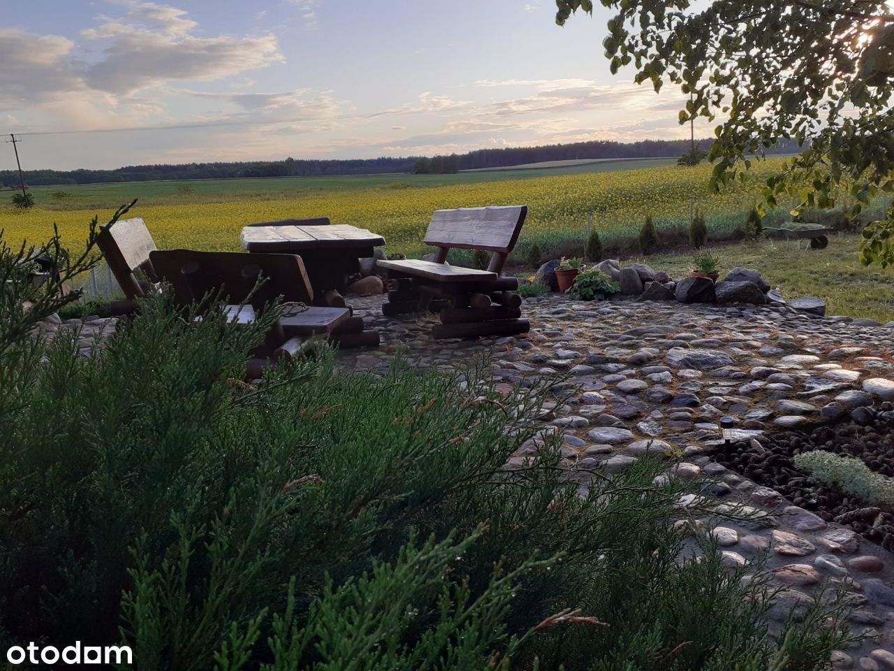Sprzedam poniemieckieckie siedlisko z XIX wieku