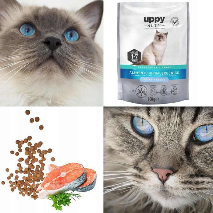 Sucha Karma Uppy Nutri Dla Kota Hipoalergiczna Z Łososiem 800G