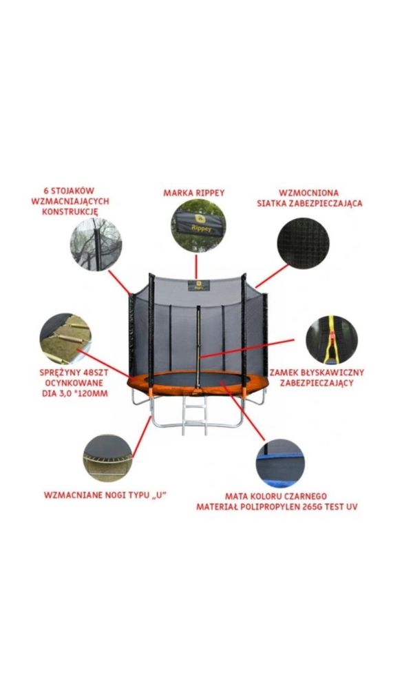 Батут RIPPEY 10FT 312 см з драбинкою і захисною сіткою