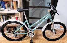 Велосипед Giant Boulder Disc S