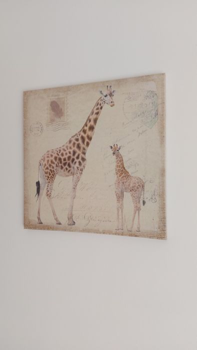 Três quadros animais