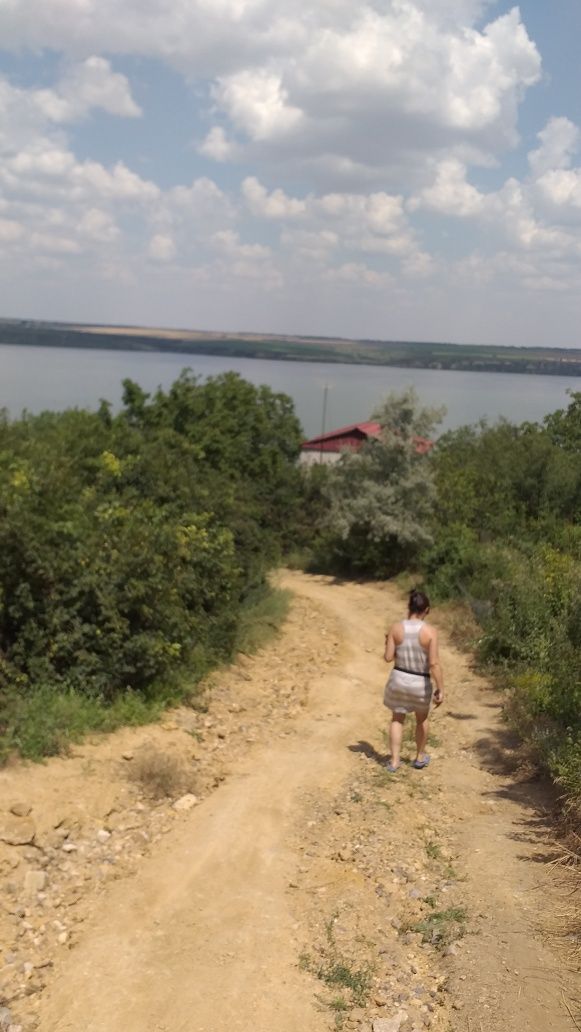 Дача в Алтестово...
