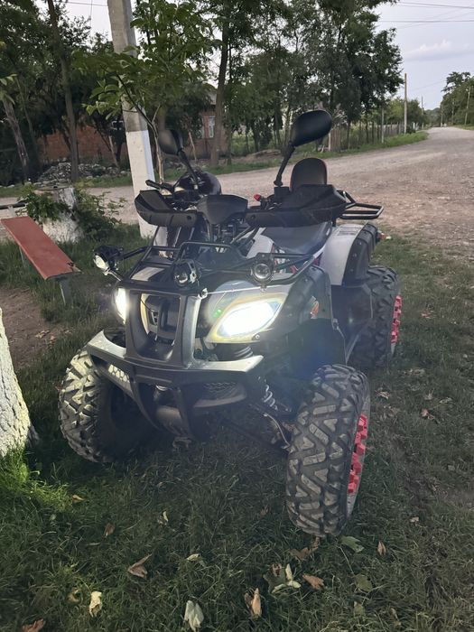 Hamer 200 2023