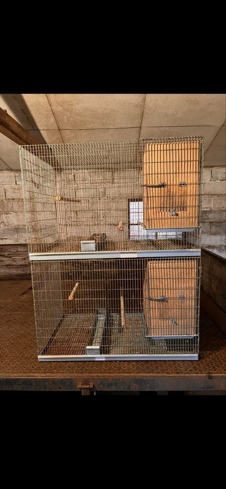 Viveiros para Aves