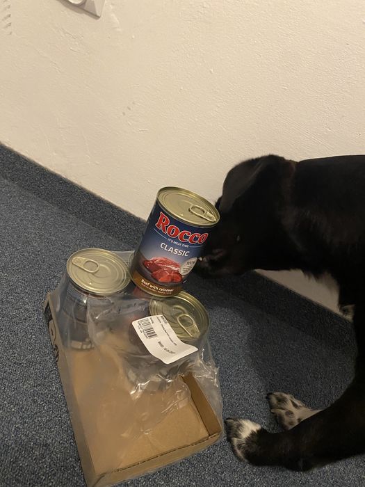 Karma mokra puszka Rocco wołowina z reniferem 400 g