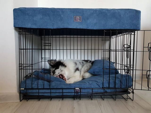 Klatka Kojec Transporter - Duża Klatka Kennelowa Dla Psa L- 92x57x63cm