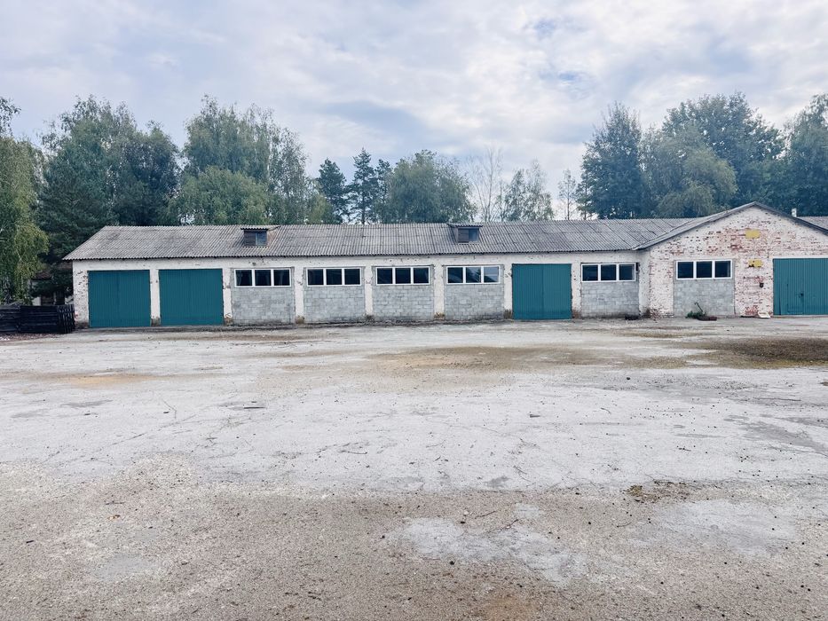 Здам склад/виробництво в Житомирській обл (Малин)