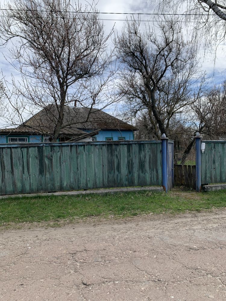 Будинок в селі Олишівка,недалеко від Чернігова.Власник.