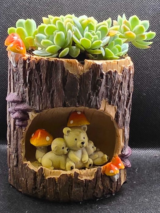 Vasos de Animais com Suculentas