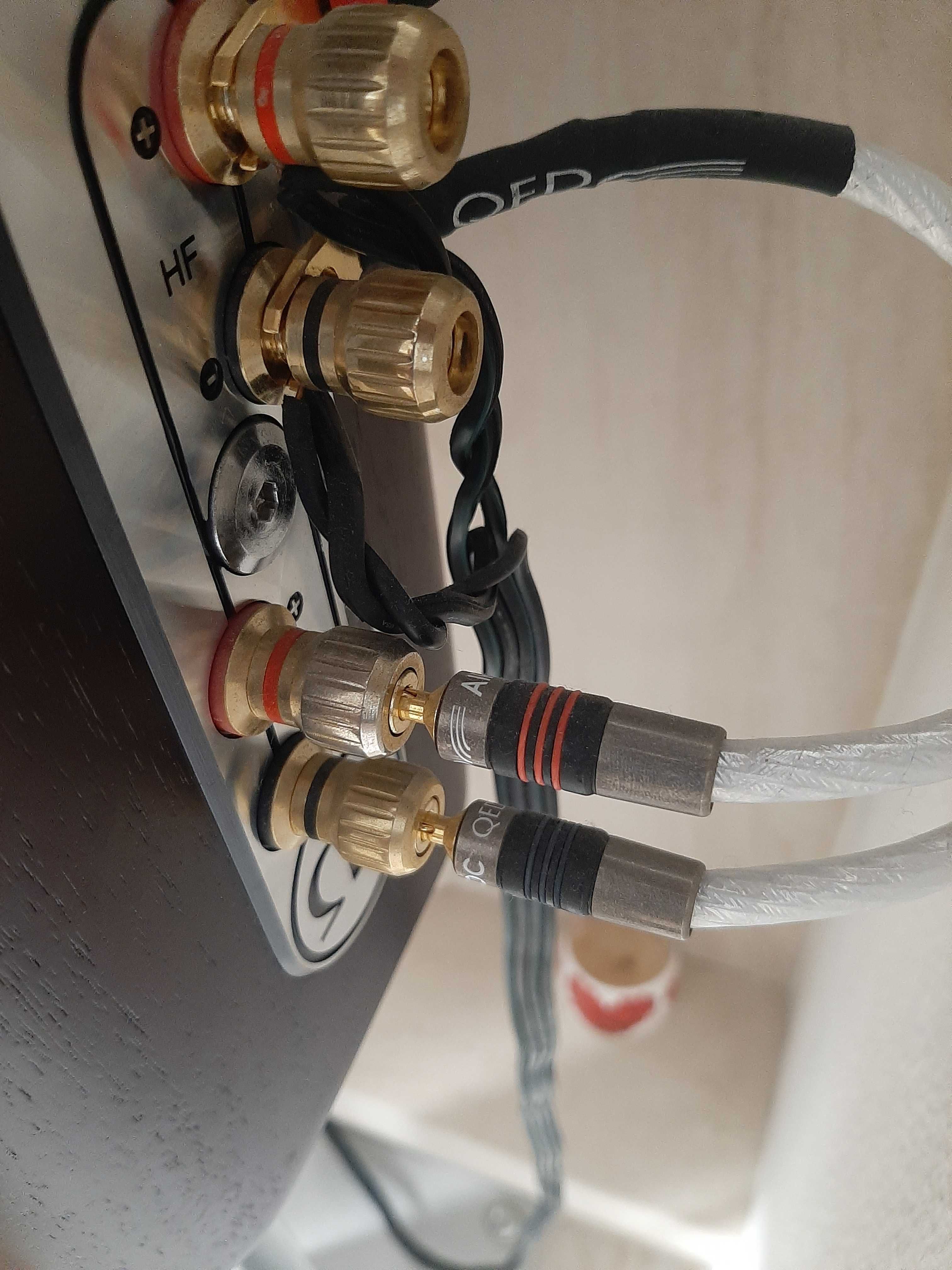 Cabo de coluna Qed Genesis e audioquest CV-1