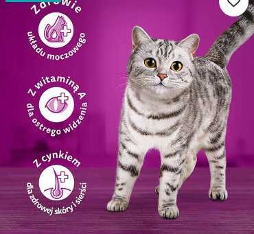 Sucha karma dla kotów po kastracji Whiskas, z kurczakiem, 14 kg