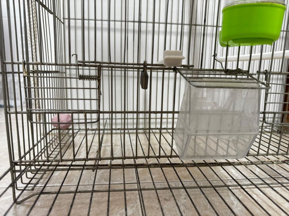 Gaiola de criacao para passaros