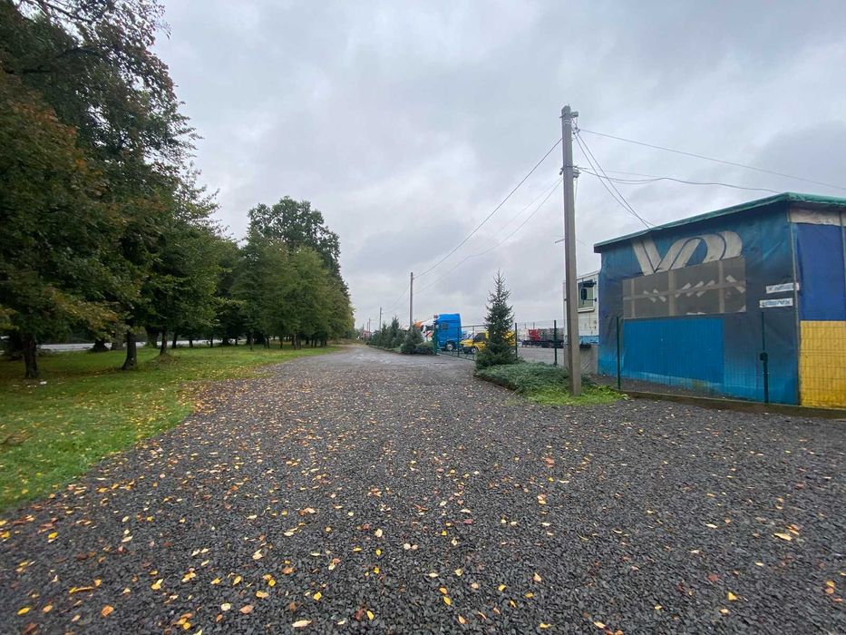 Здається в оренду земельна ділянка під комерцію в с. Ксаверівка