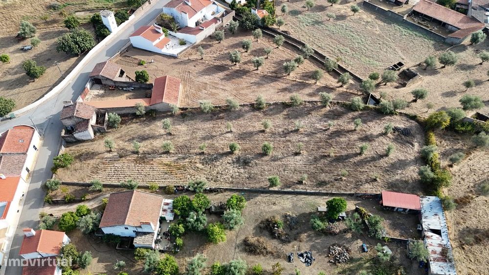 Terreno para construção com Moradia V2 em Nisa