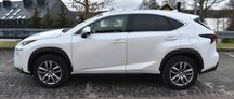 Lexus NX 2014-2021 Бампер капот крыло дверь фары Разборка