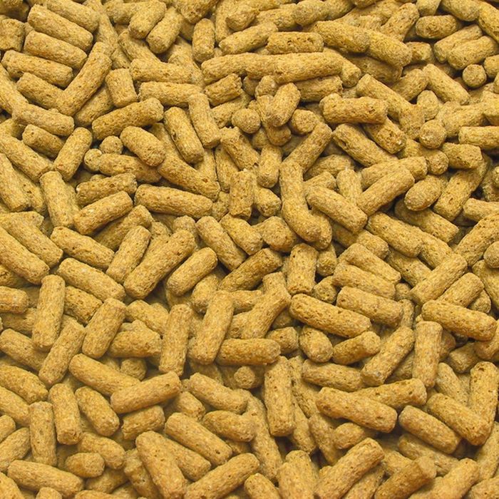 Pokarm Calcil dla gadów mięsożernych -żółwi akwarystyczna