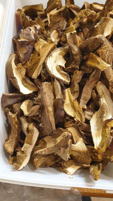 Podgrzybki suszone krojone