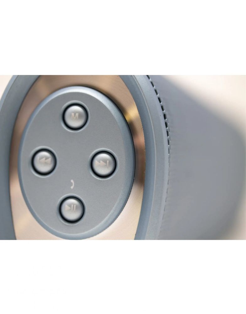 GŁOŚNIK BLUETOOTH z Radiem Leshp model DSP-1603