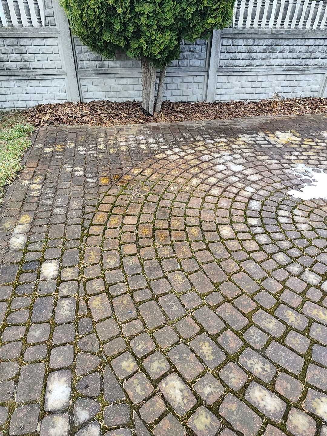 Pranie tapicerki samochodowej/meblowej/Ozonowanie/mycie wysokociśnieni