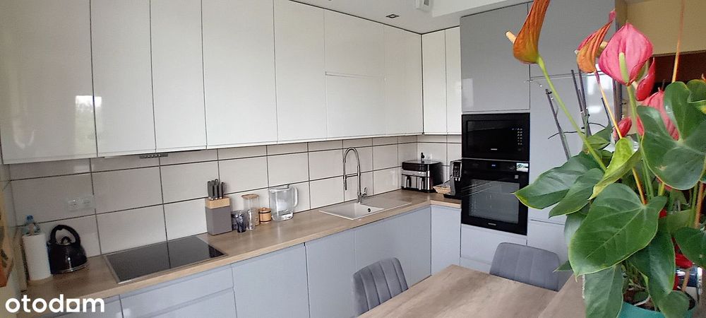 Dwa pokoje w nowoczesnym apartamentowcu przy Parku