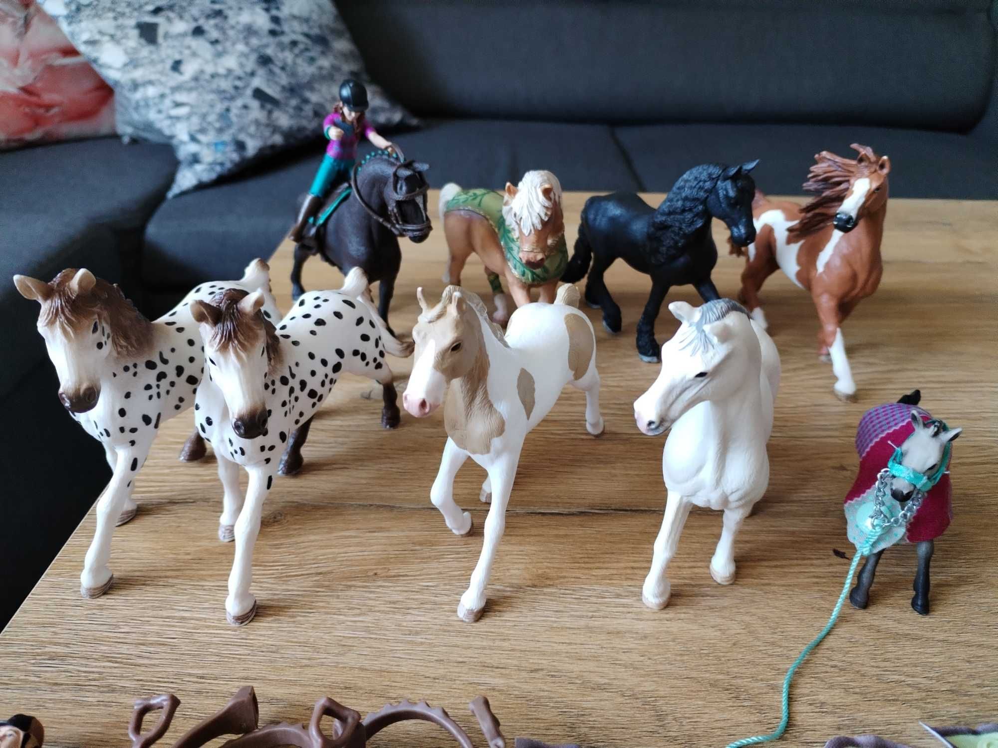 Konie i akcesoria firmy Schleich