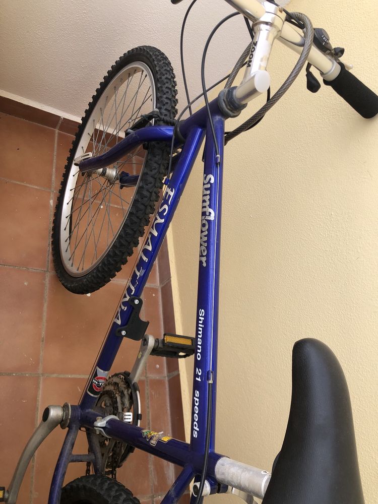 Bicicleta Esmaltina com pouco uso.