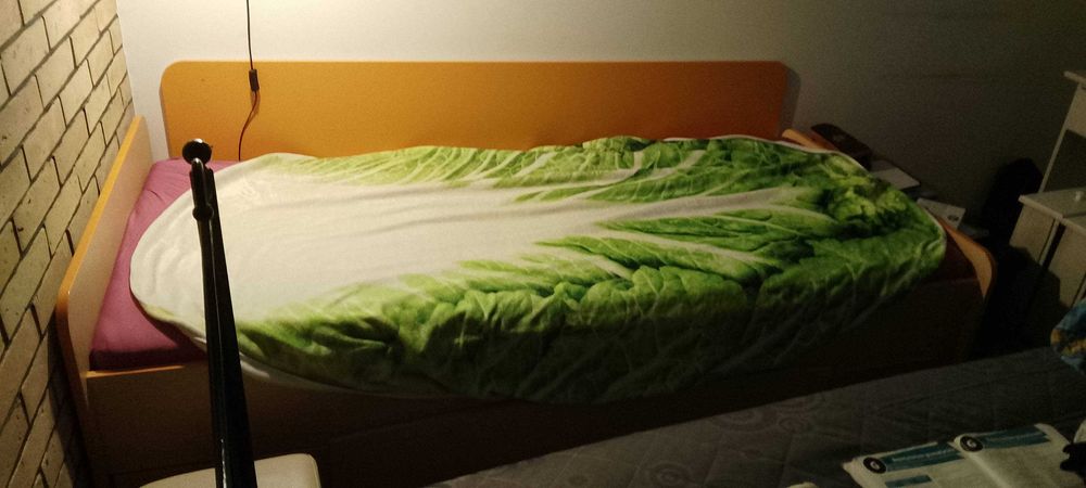 Oddam za darmo młodzieżowe lozko