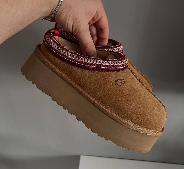 Уггі тазз зимові черевики, Ugg Tazz, жіночі чоботи Уггі