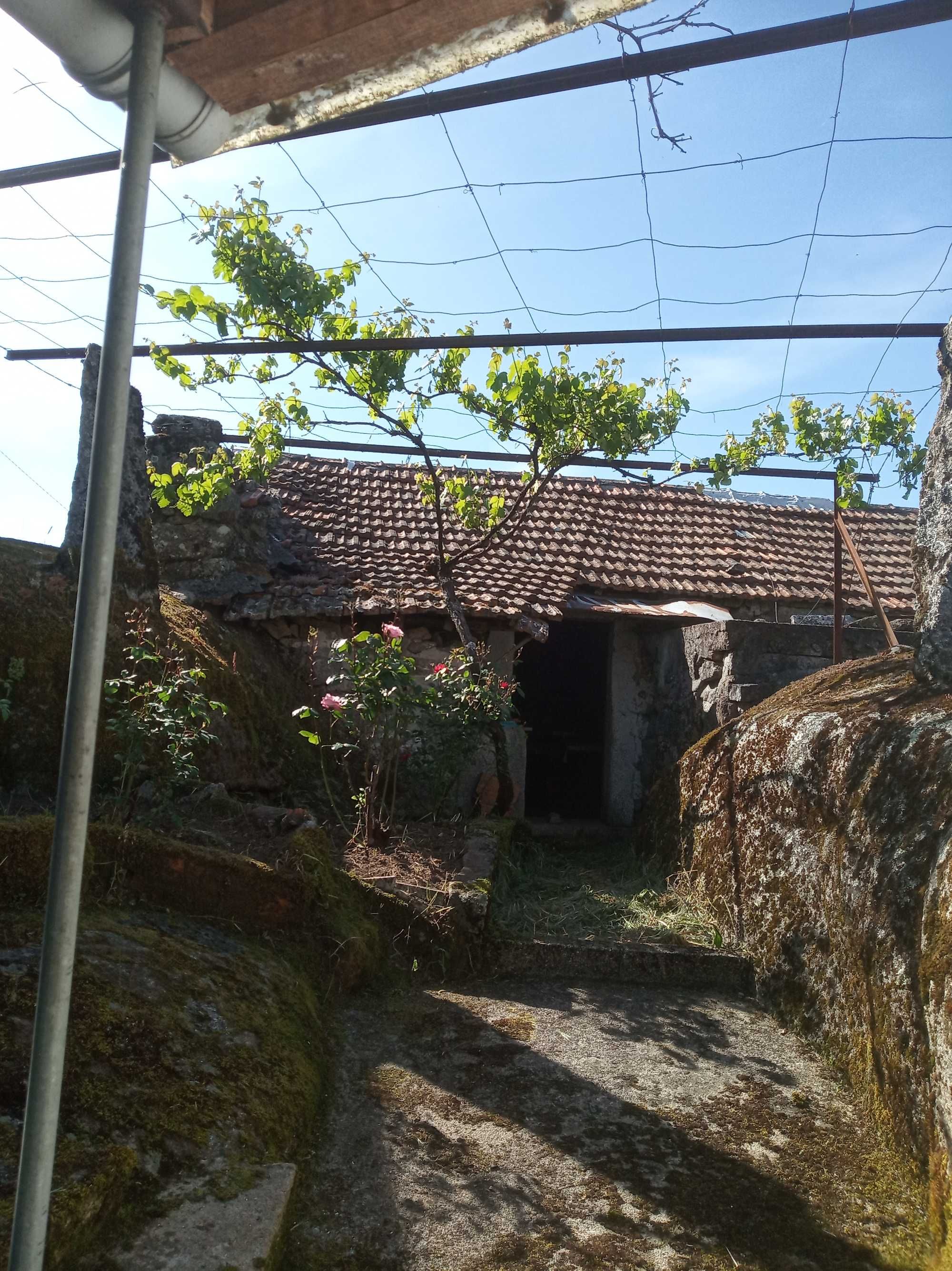 Casa rústica + Anexo, Ariz - Moimenta da Beira