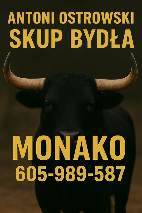 Skup bydła rzeźnego i hodowlanego