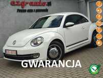 Volkswagen Beetle bezwypadkowy serwis wyposażenie Gwarancja