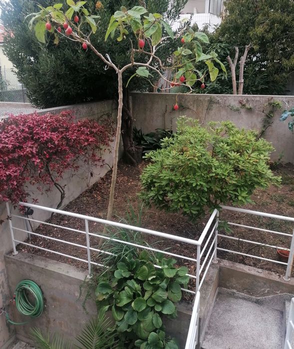 Quartos para arrendar