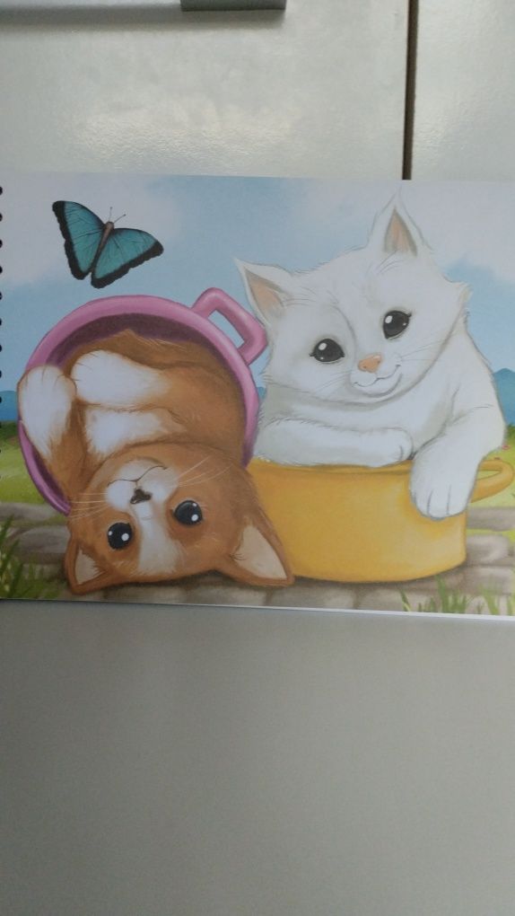 Kolorowanka szkicownik zwierzęta domowe kot pies królik