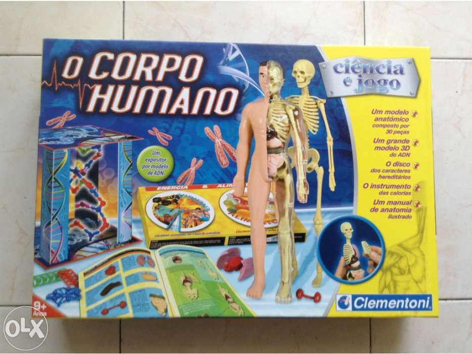 Jogo " o corpo humano"