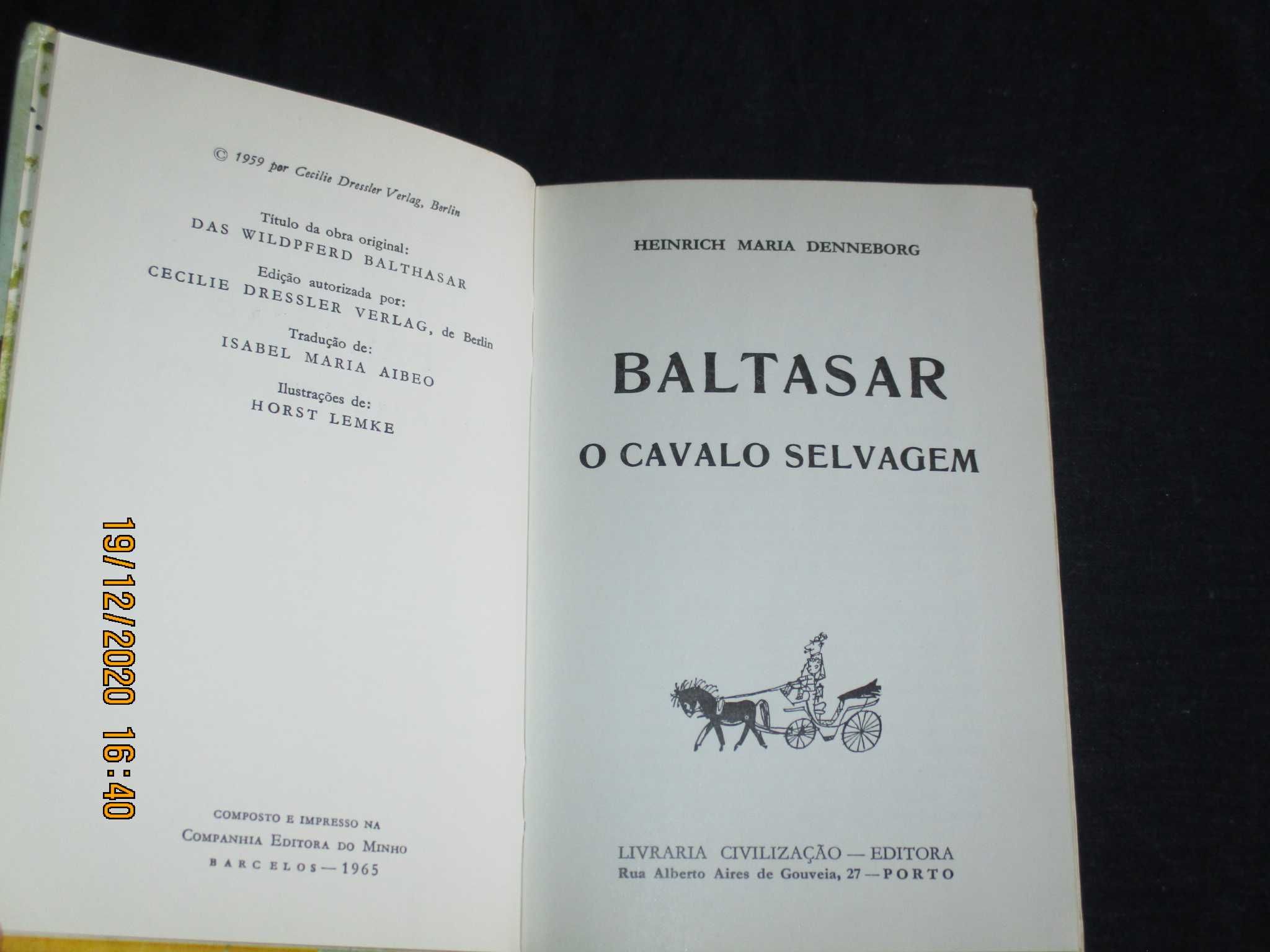 Livro Baltasar O Cavalo Selvagem Denneborg