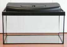 nowe akwarium 25 l 40x25x25