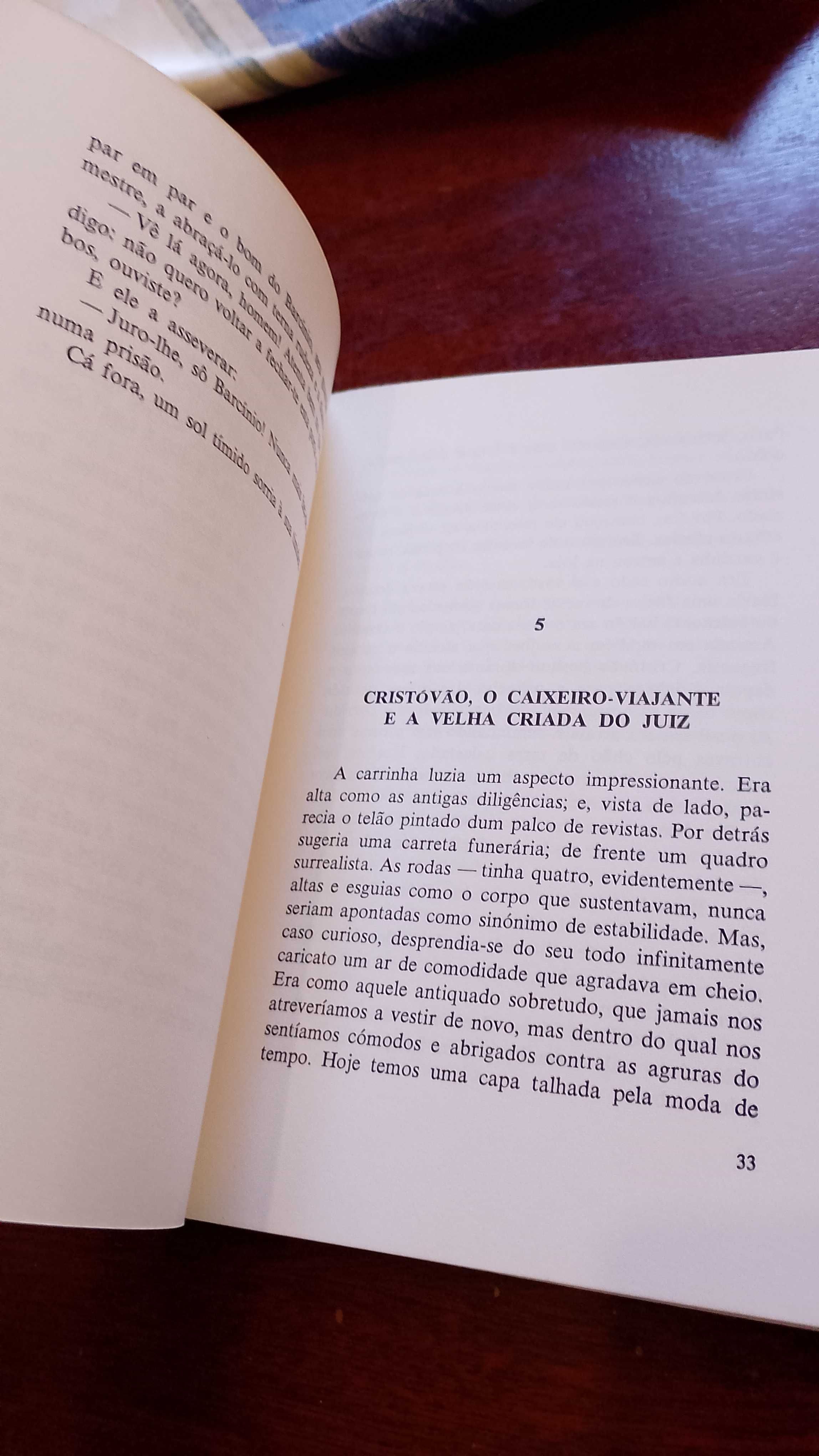 História Simples de um Ladrão - Rui Neves
