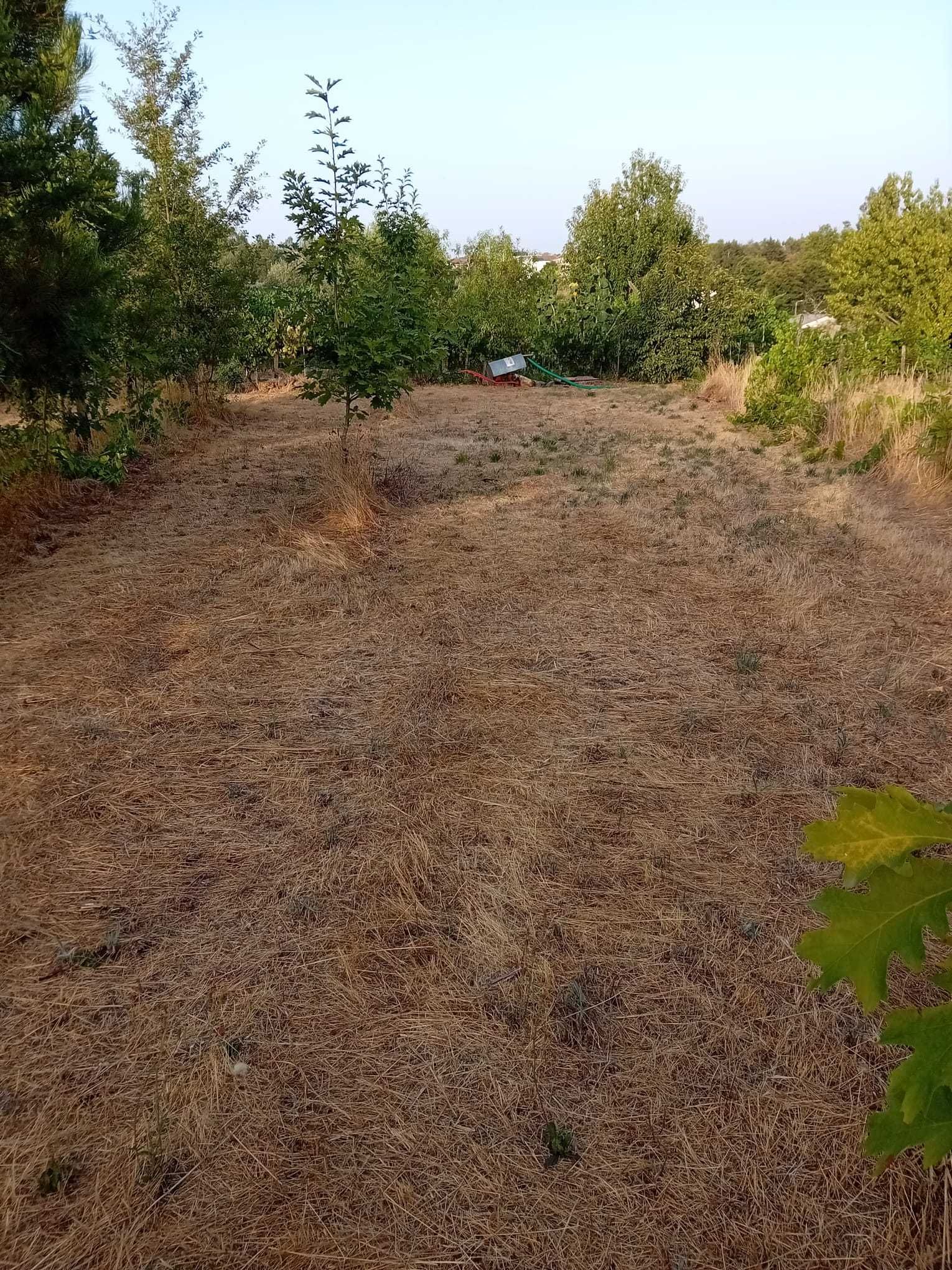 Terreno rural Boa Aldeia