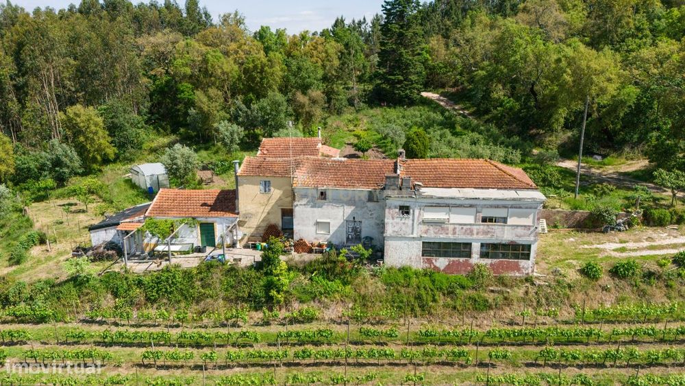 Quinta com 8 hectares com potencial para construção – Antanhol - Coimb