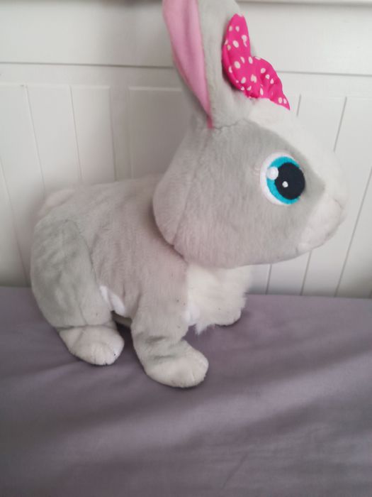 Królik interaktywny tusia