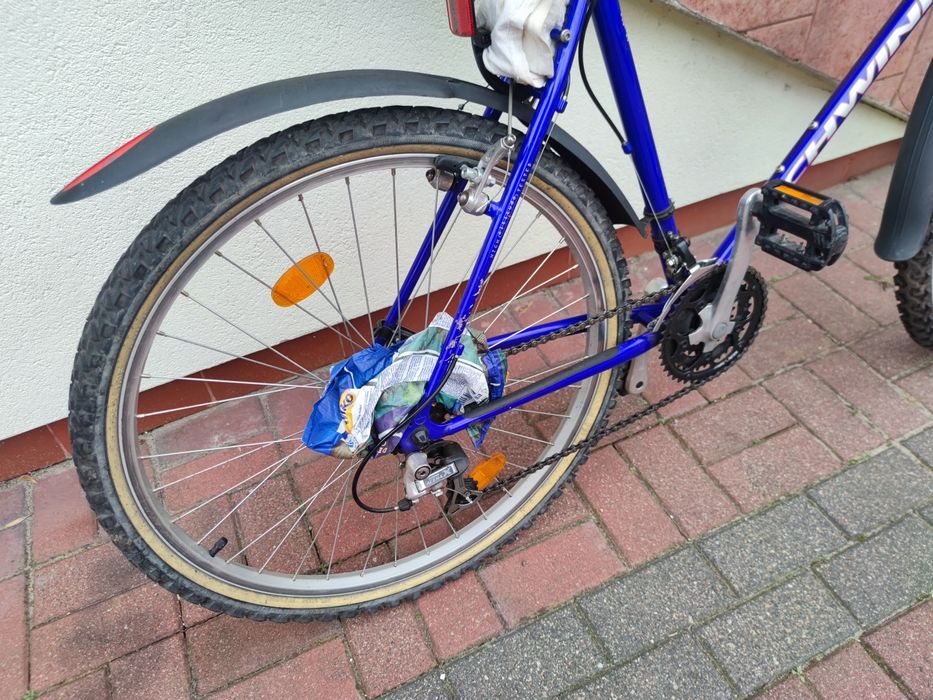 Rower Schwinn Clear Creek 21"