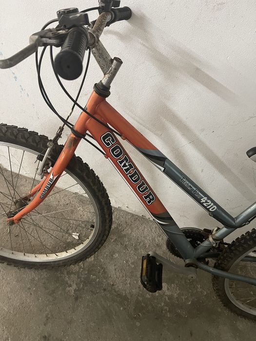 Bicicleta adulto