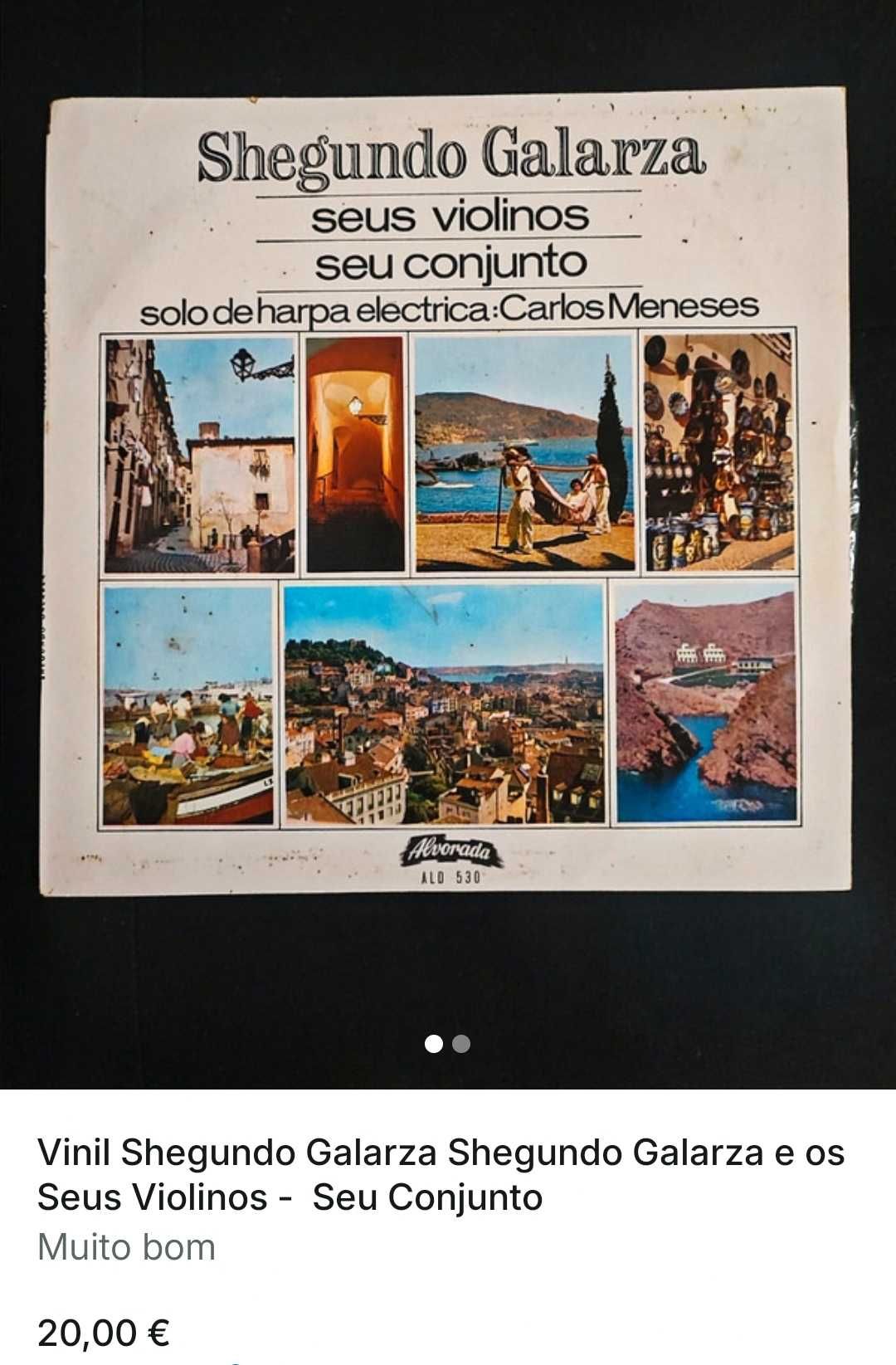 Vinil Shegundo Galarza