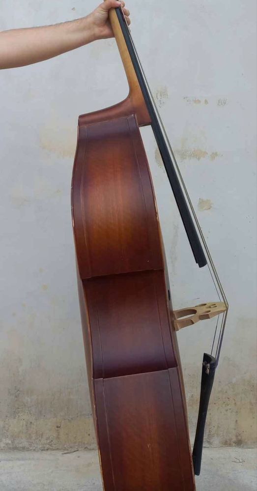 Contrabaixo Thomman 111E 3/4