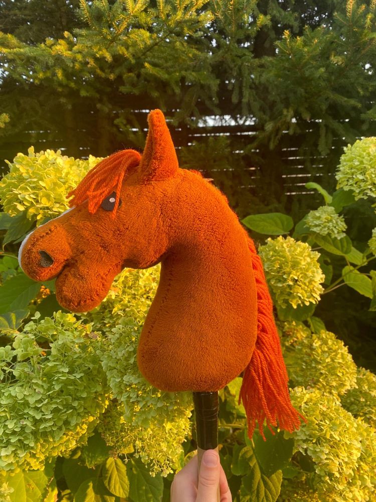 Hobby horse kasztan A4