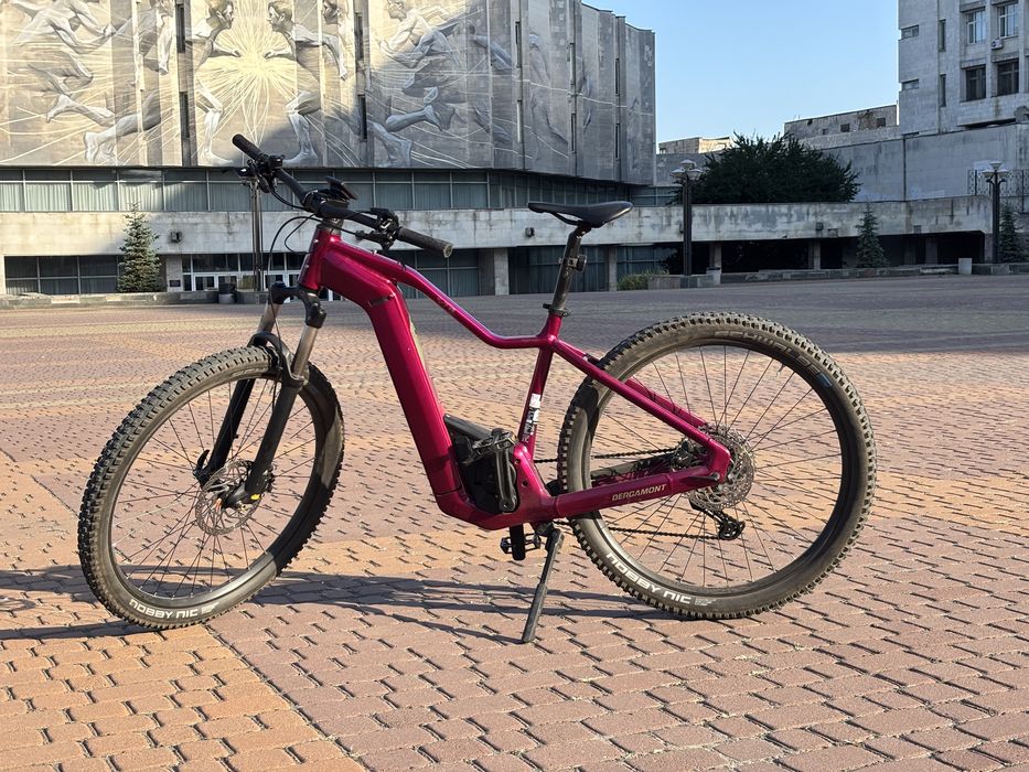 Bergamont E-Revox Pro FMN електровелосипед