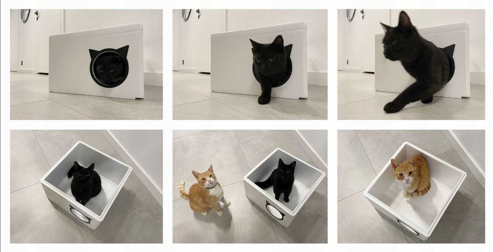 NOWY Domek Buda Budka Legowisko Dla Kota Na Zimę Ciepły Solidny