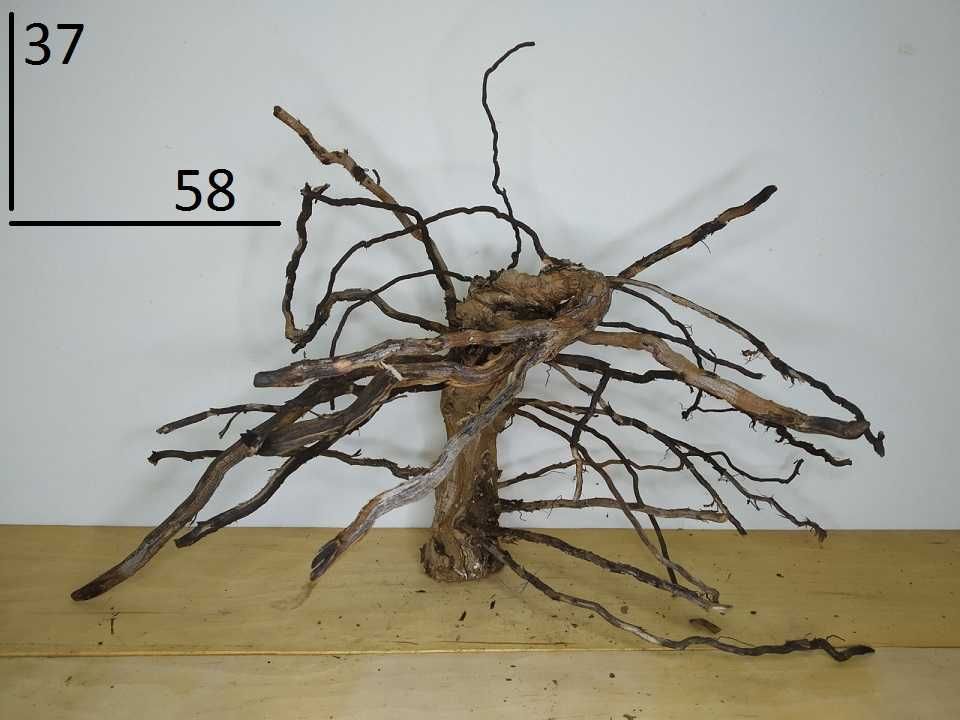 коряги для аквариума . террариума . декор . корни винограда, магонии
